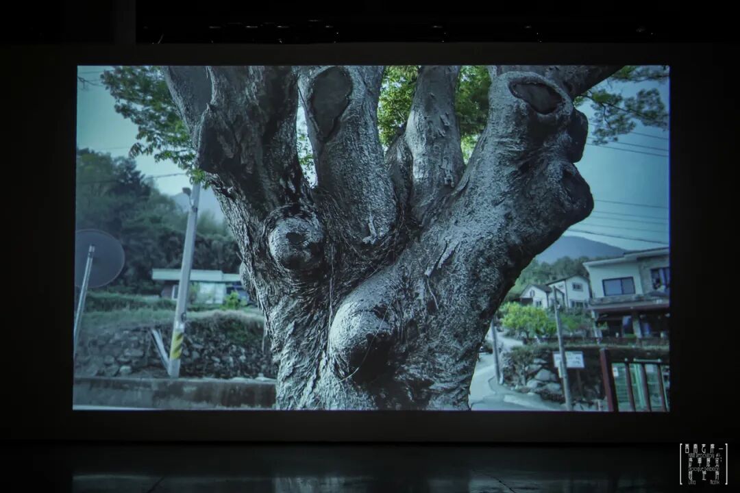 “超矩阵”展览开幕式现场，成都当代影像馆，2026