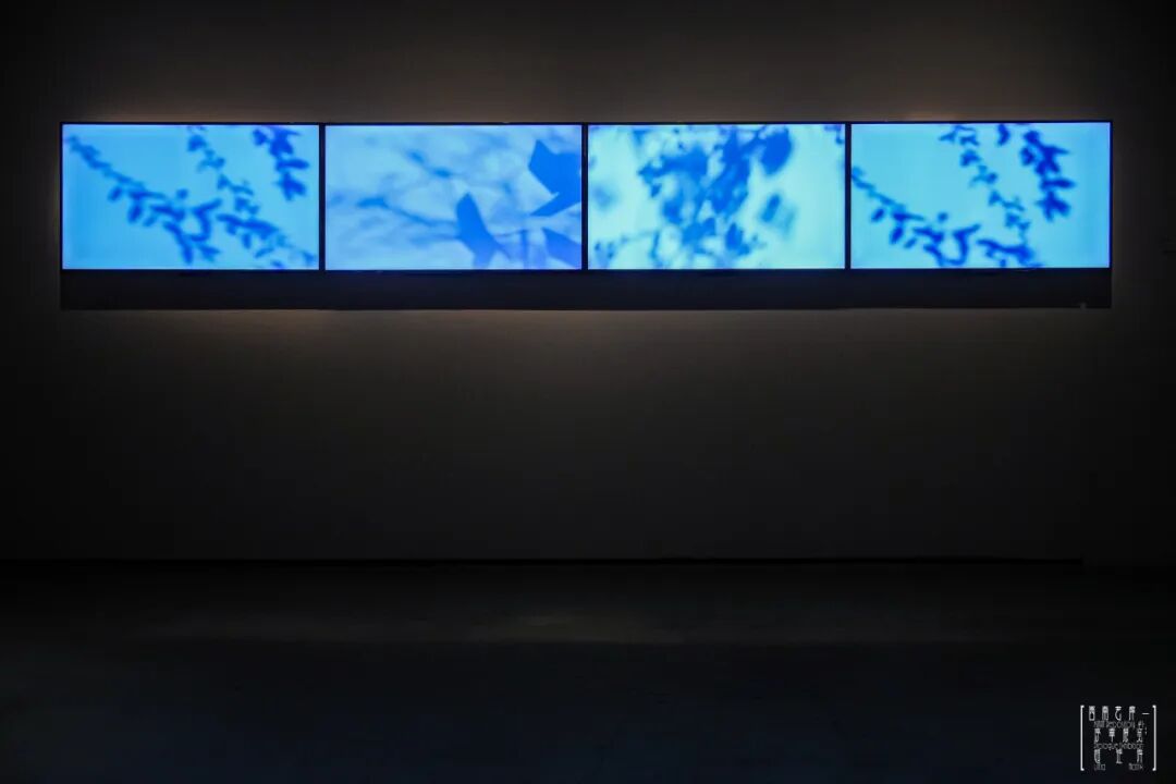“超矩阵”展览开幕式现场，成都当代影像馆，2026